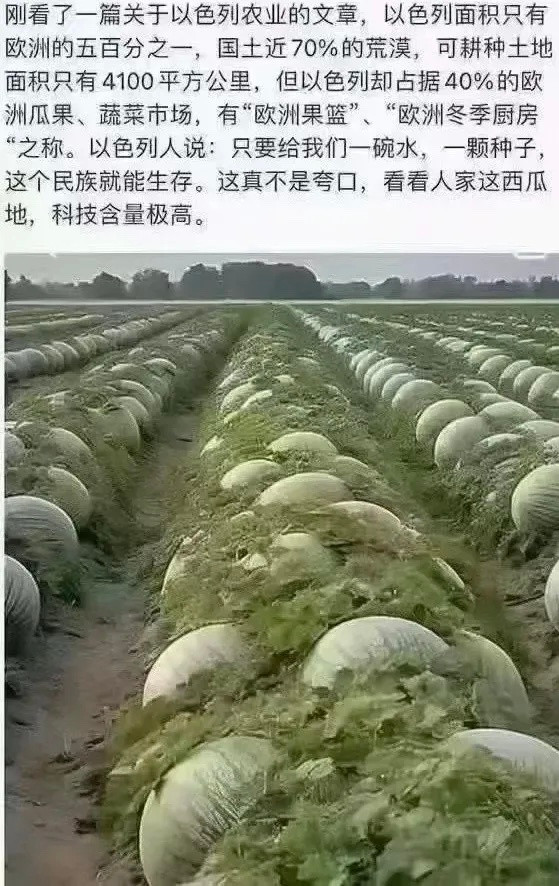 以色列的农业科技。。。以色列中东地区种植以色列​​​