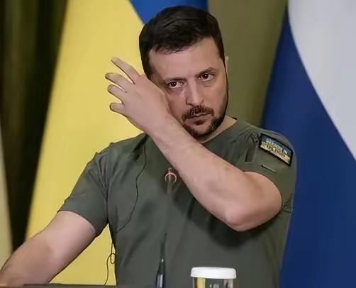 泽连斯基公开喊话加入欧盟谁也别想拦！这话听着硬气，但现实却很骨感。就在前一天