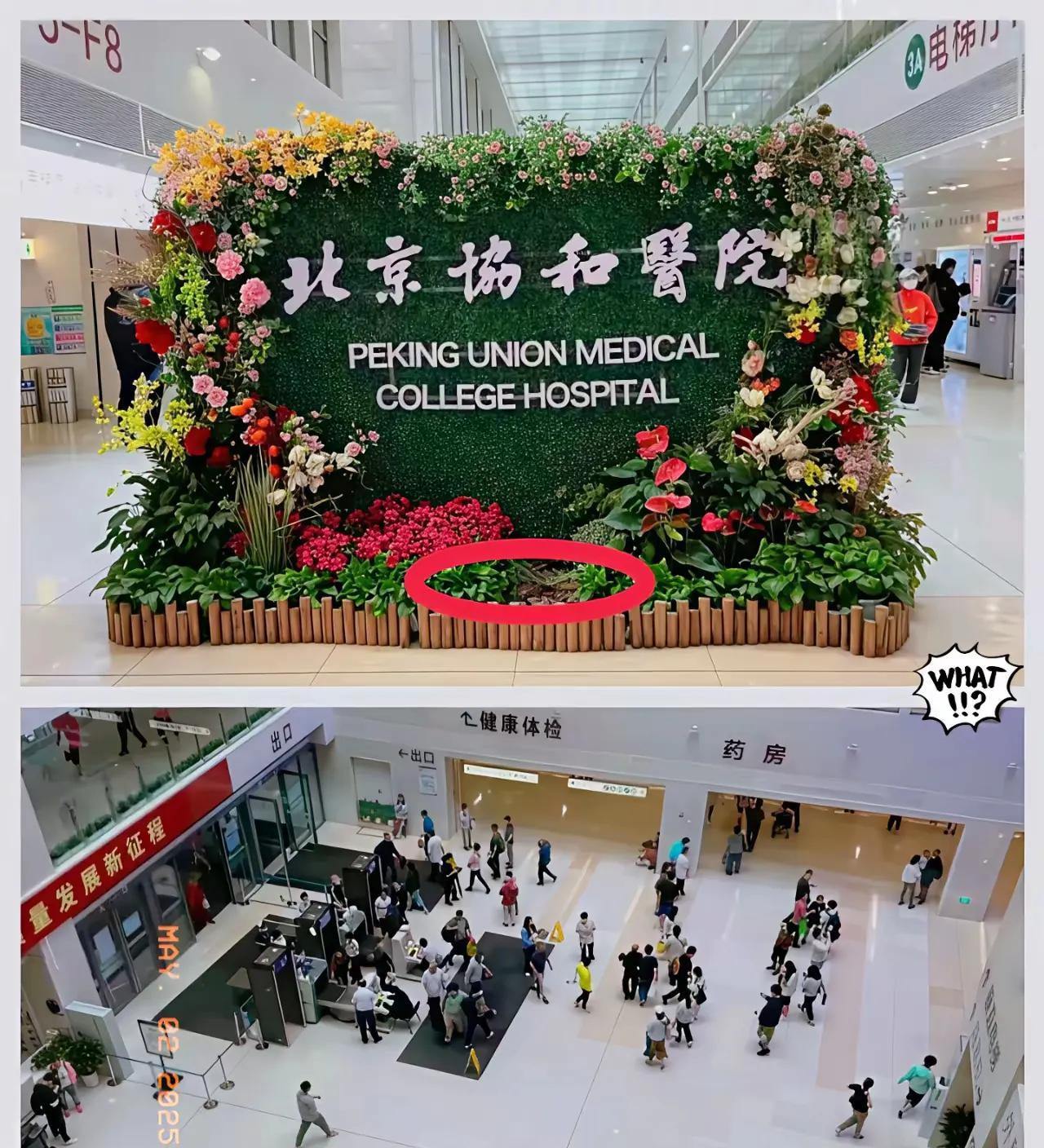 第一眼:我以为自己看错了第二眼:真的是北京协和医院万万没想到真的有点意外，它