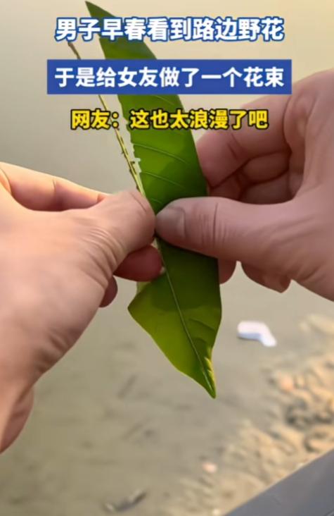 日子怎么可能跟谁过都一样？一男子早春看到路边野花很漂亮，于是动手做了一个花束