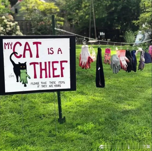 俄勒冈州的铲屎官不得不张贴告示，让邻居们来认领自家猫咪不断偷回的手套和衣物。