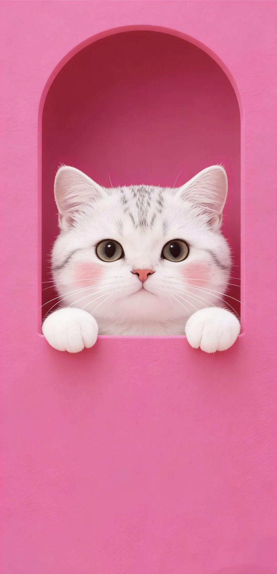 粉色系手机壁纸～粉色是藏在心底的柔软，日子也变得温软。赴一场粉色的约，在这个温柔