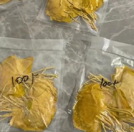 2025年，掉落的梧桐叶、银杏叶居然可以卖钱了！山东临沂的一家网上店铺近日爆卖5