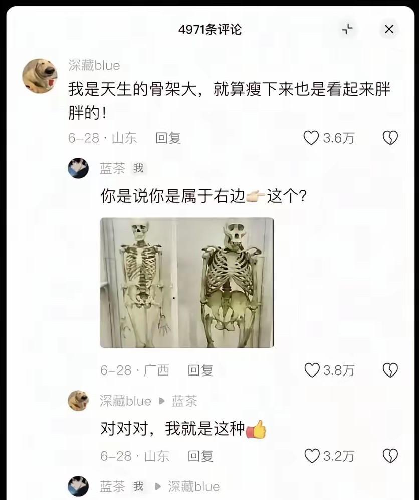 小仙女的骨架是有点大