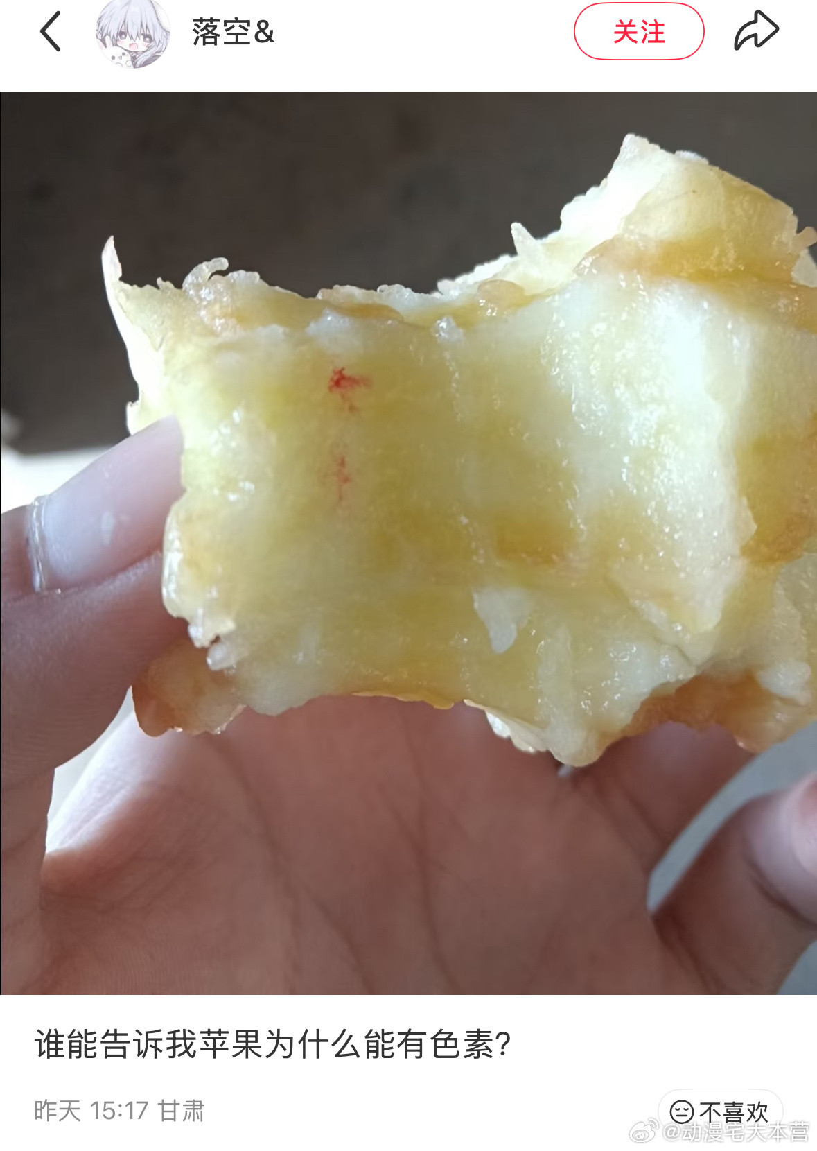 刷到这个我要笑死了