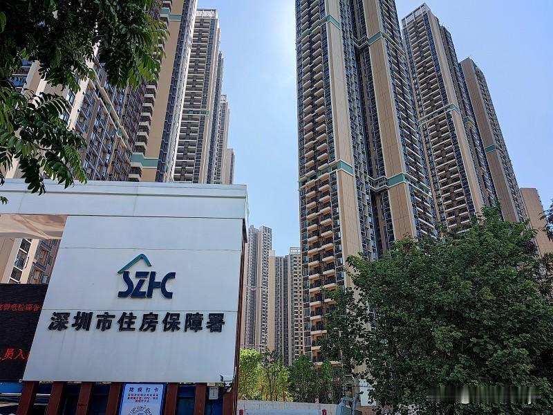深圳的房价，始终是年轻人心中的隐痛，“年轻人在深圳还能否拥有住房”成了众人热议的