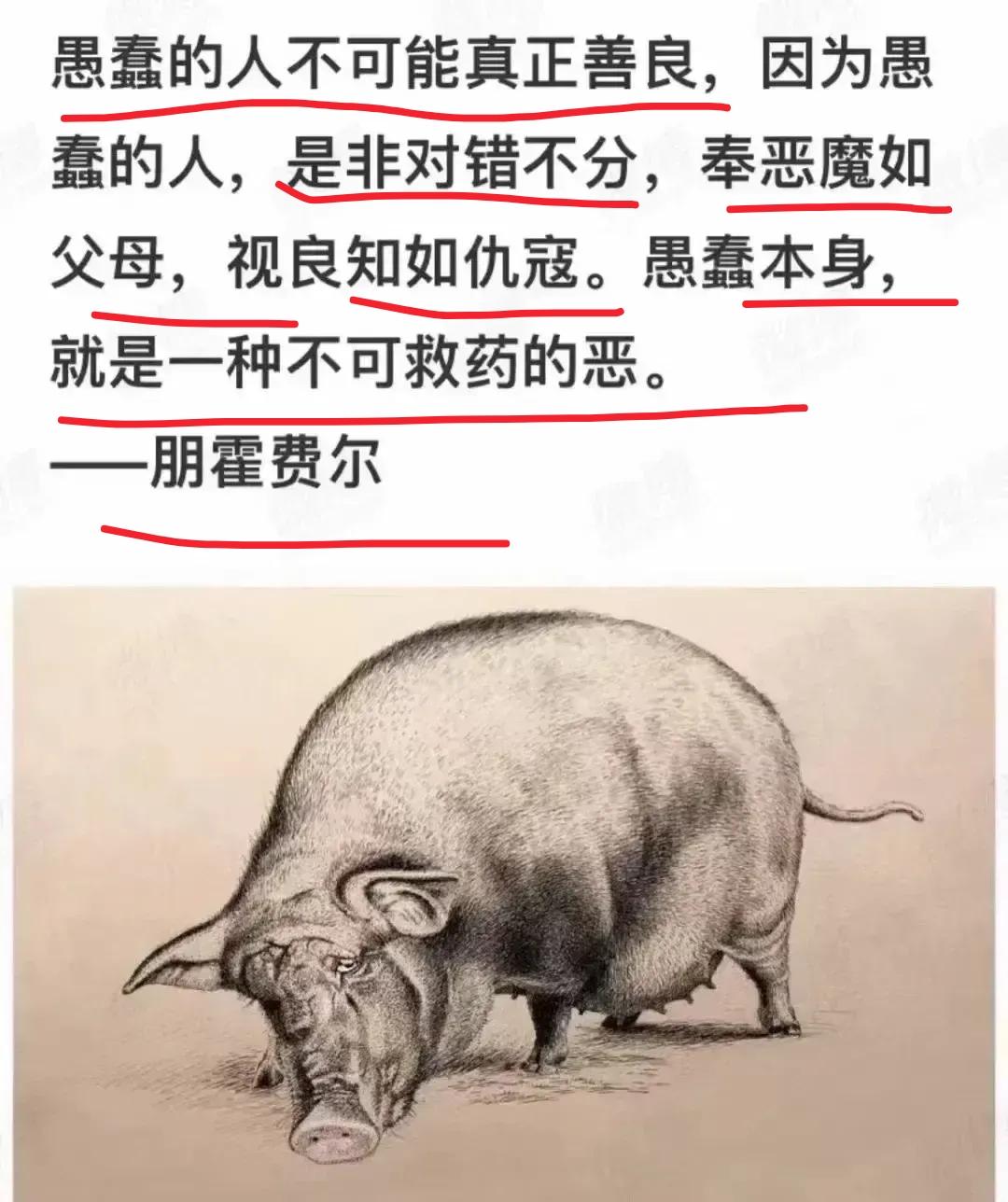 愚蠢本身就是不可救药