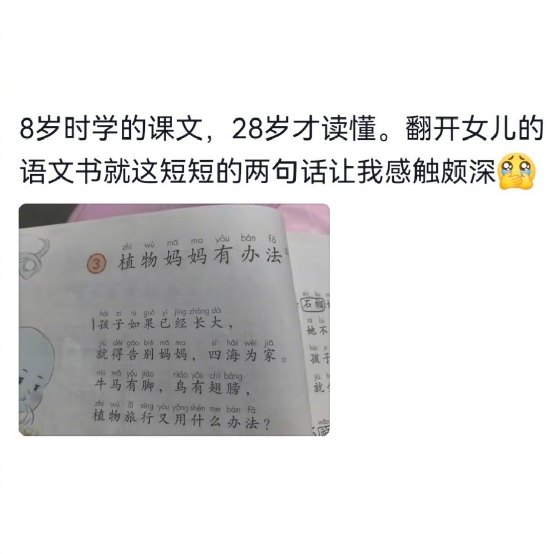 在最懵懂的年纪品到了最细的糠