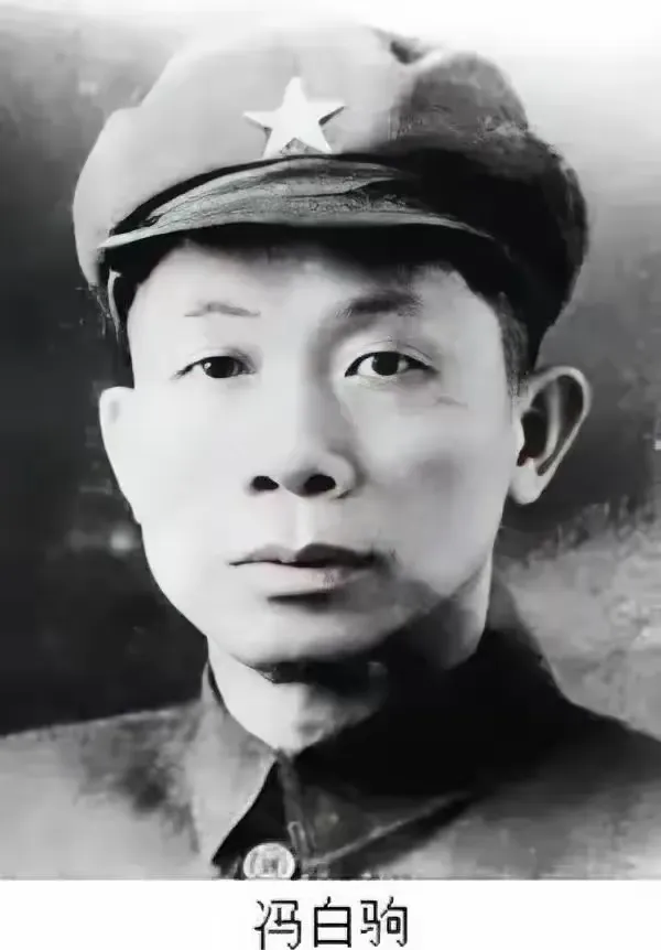 1971年，重病的浙江副省长冯白驹写了一封求救信，伟人读后，立即派人喊来广州军区