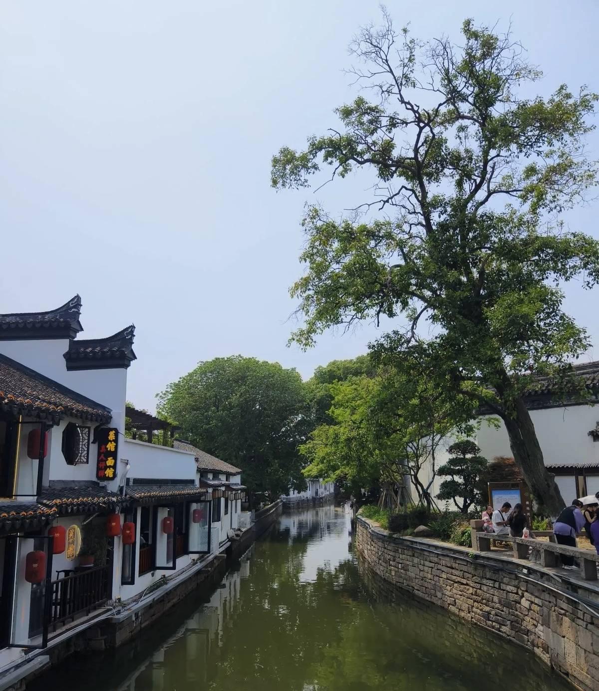同事的儿子在一家国企上班。上班后一直不适应，就给同事吐槽。午休时同事王姐悄悄和领