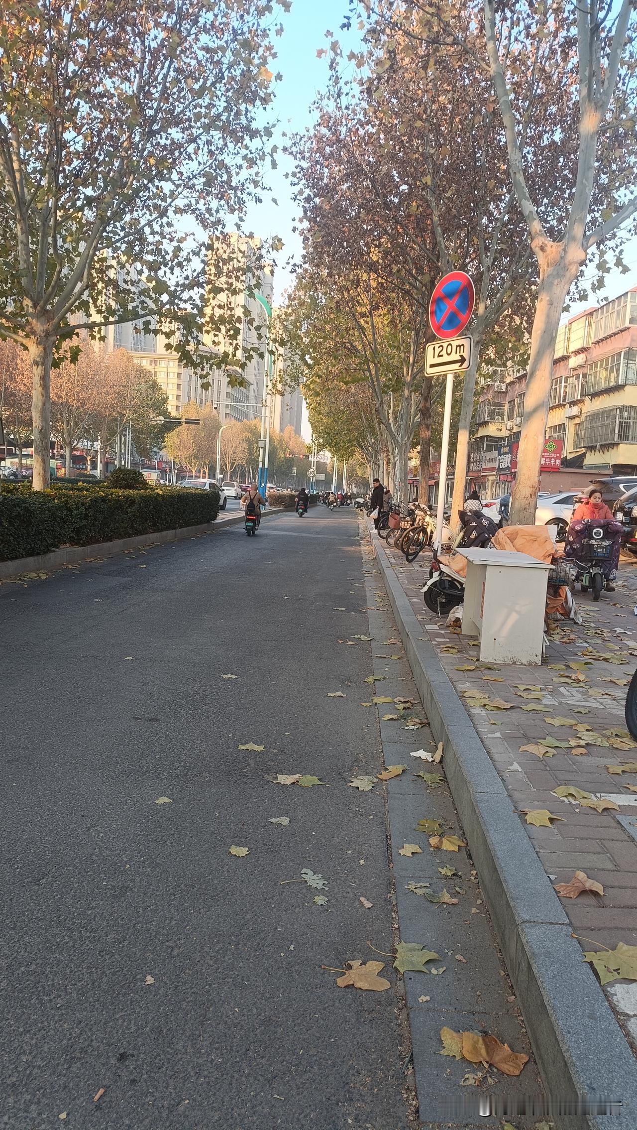 天真的是冷了，树上的叶子落的满地都是！路上的人都穿上了厚的羽绒服！