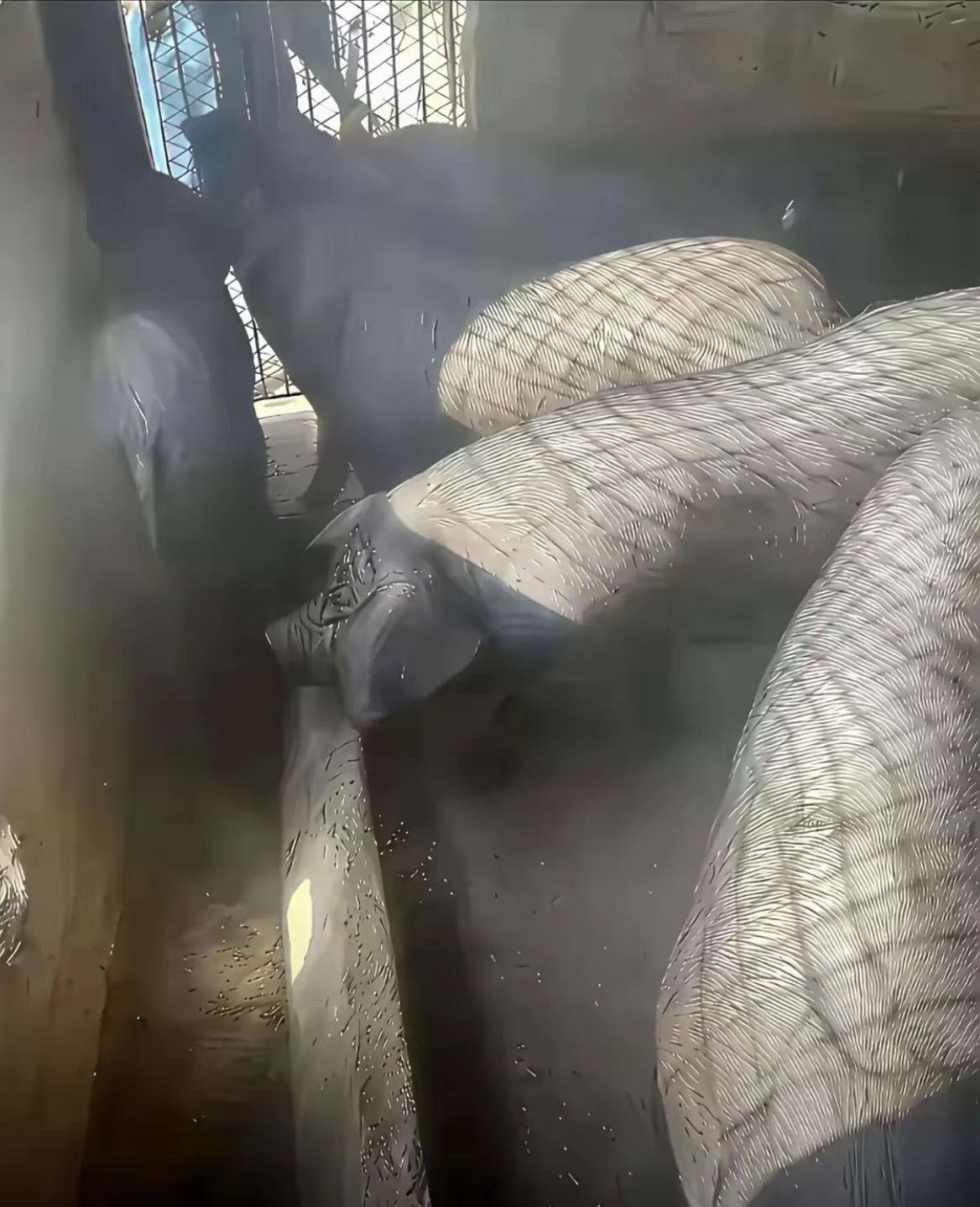 这黑丝性感吗？[捂脸哭]