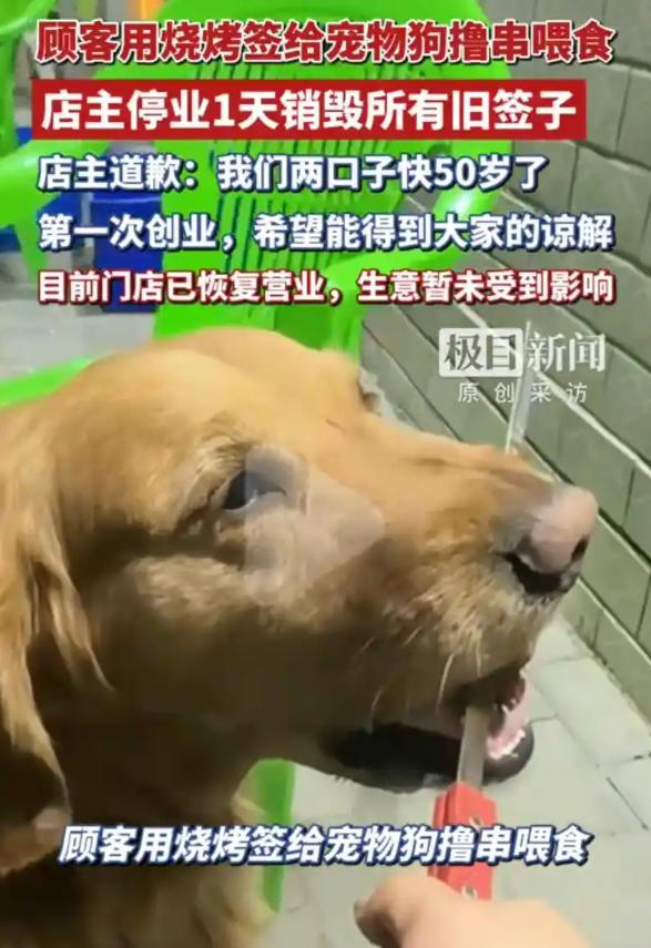 祸从天降！顾客带金毛在店内撸串还发视频炫耀，苦心经营的小店瞬间被推上风口浪尖；年