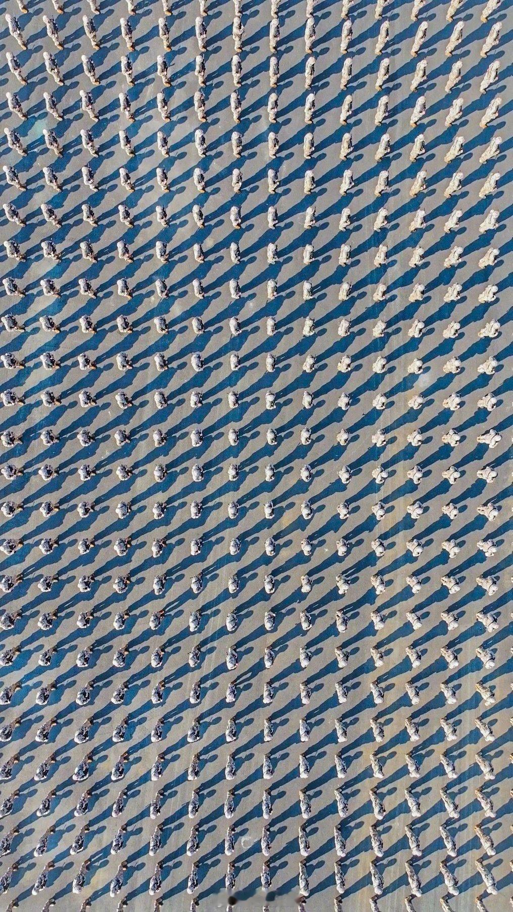 地表最强王者。