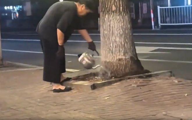 “这树是找谁惹谁了？”辽宁沈阳，一位大妈连续两周，每晚都提着一壶刚烧开的水，到小
