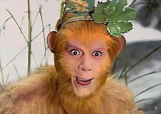 西游记开篇就有一个大漏洞，孙悟空刚从石头里蹦出来不到半天，就和群猴发现了水帘洞。