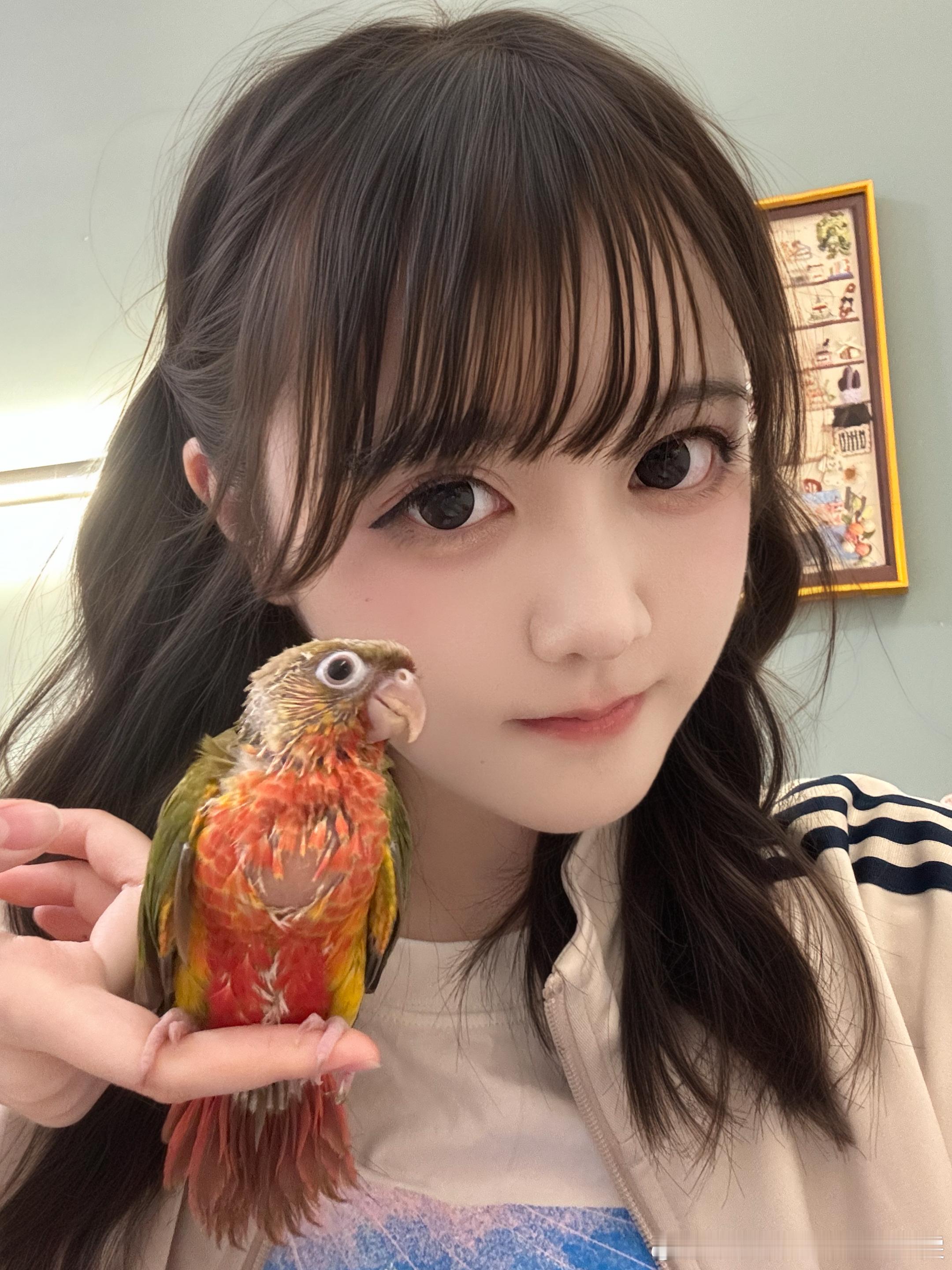 小鸡的名字想好了，叫麦莉（麦粒）麦莉现在还要住保温箱里，需要我手动喂奶，每天肚子