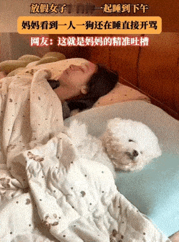 网友笑喷了:放假了不用上班，女子就想睡懒觉，她和狗狗一起一觉睡到下午都没起。妈妈
