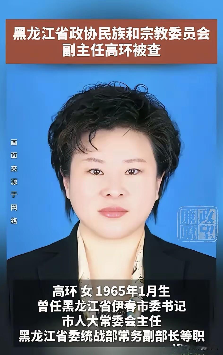 高环，高知分子，33岁干到正处级，40岁升任共青团黑龙江省委书记、党组书记（正厅