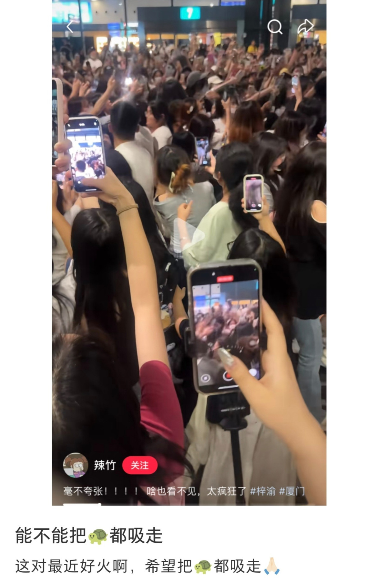 笑死我了小弥陀不准出来丢脸[捂脸哭][捂脸哭]​​​