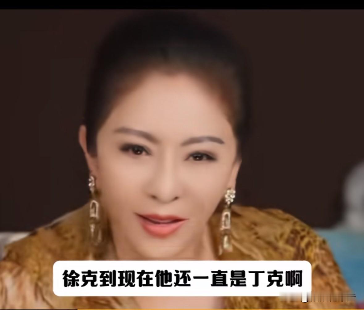 徐克目前没有任何子女。2026年7月16日，与徐克、施南生相识多年的向太陈岚发