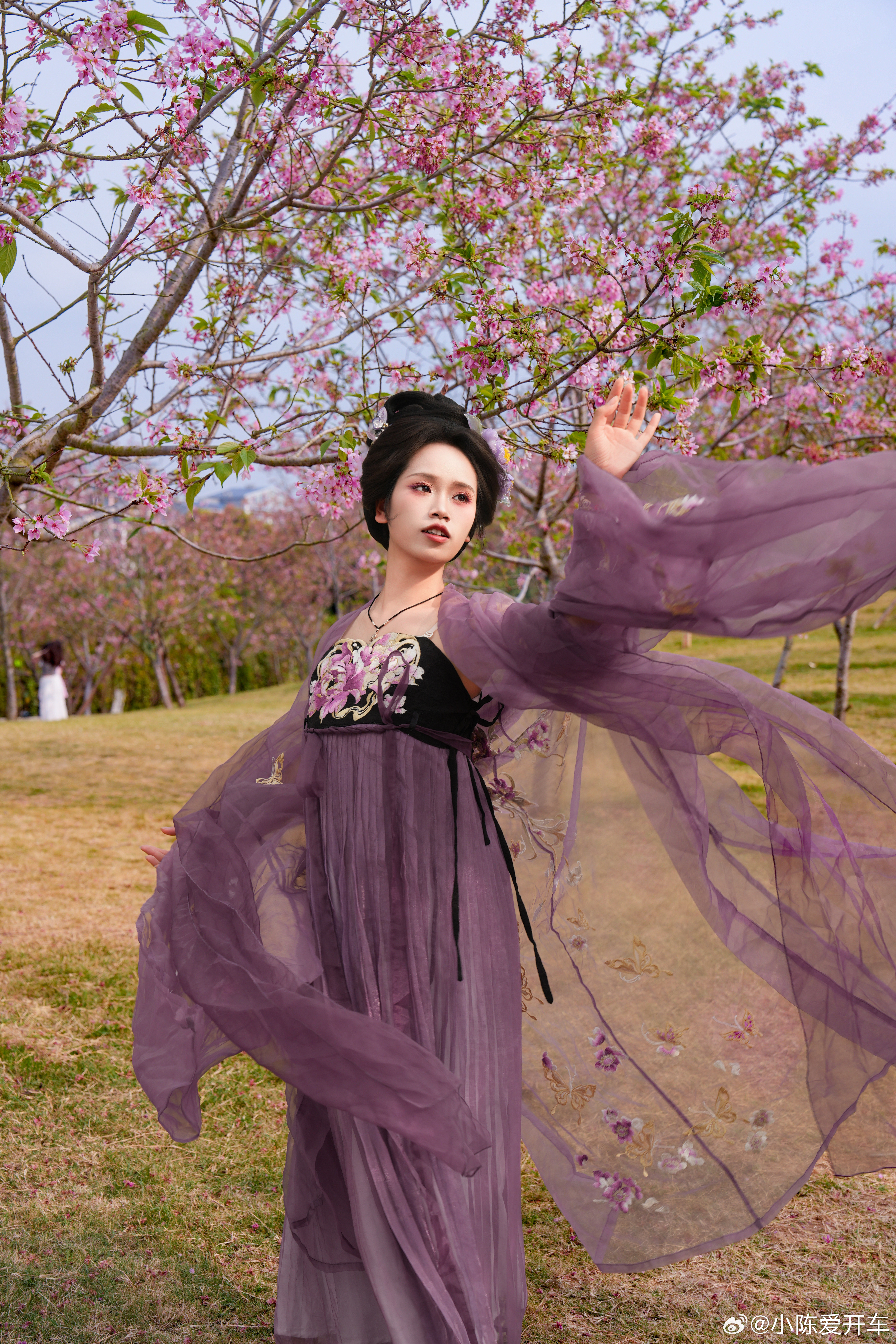 春风一吹，在青秀山风景区樱花山上连披帛都按捺不住了～摄/后/衣都是我，出镜的是