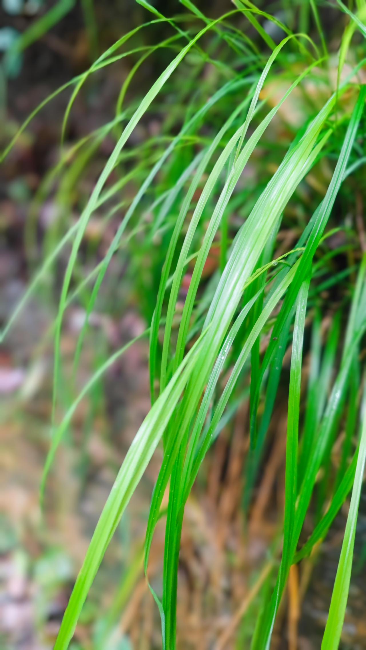 觉醒后，自己的内心，才是一切能量的来源！不必在意外界的评价，不用在乎熟