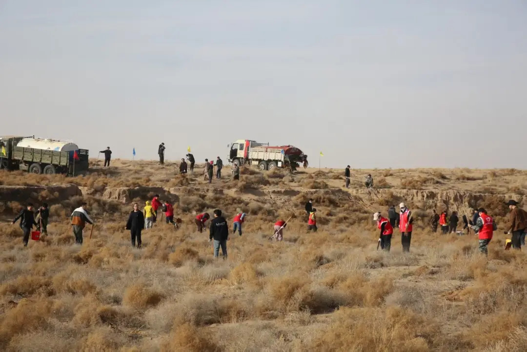 当世界被资源争夺、对立冲突裹挟时，中国在阿拉善沙漠用十年光阴“缝补”生态。从荒芜