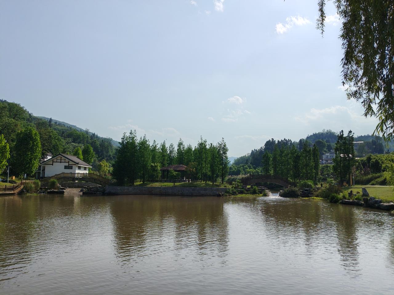 五粮液发25年年报和26一季度报了，这份业绩报有意思哈。26年一季度盈利80.