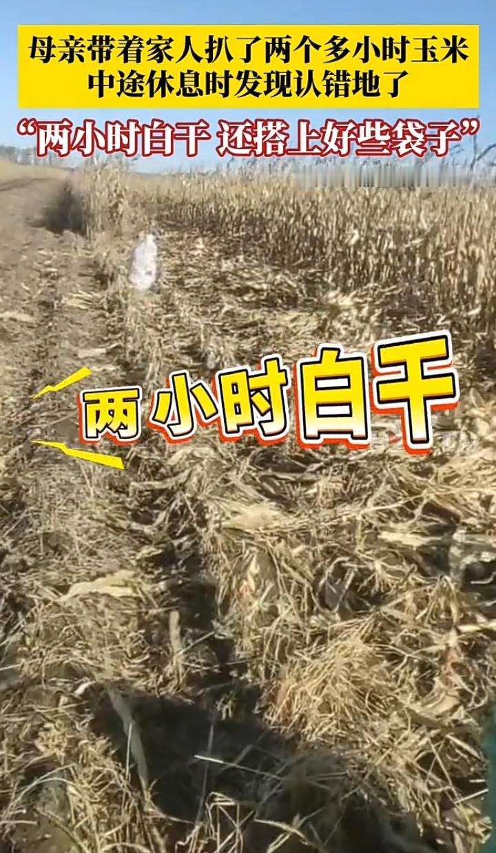 10月7号齐齐哈尔久未回家的薛女士趁过节回家探望父母，一时孝心大发的她决定大干一