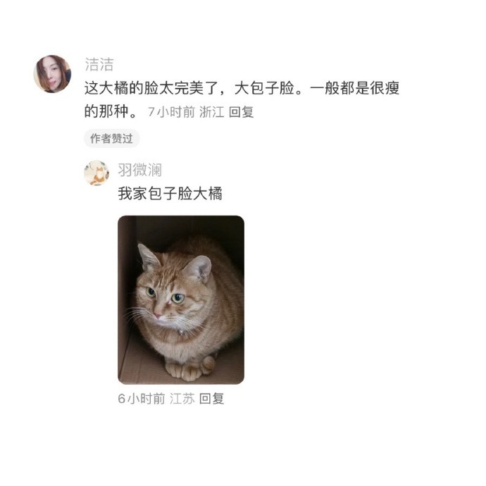 谁家可爱大橘被栓这儿看车了啊