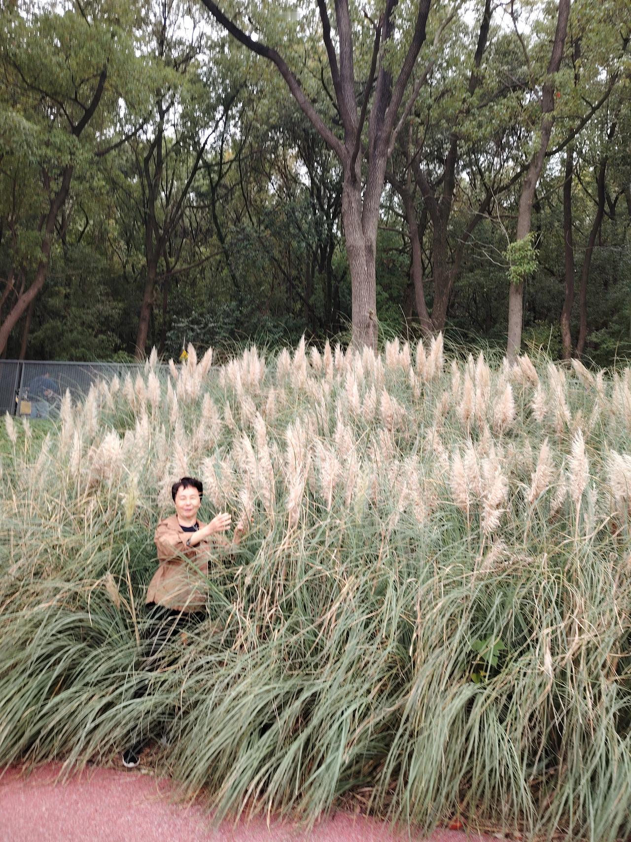 人到中年，似乎成了一场无声的考试。曾经的梦想像泡沫一样破碎，曾经的激情被生活的琐