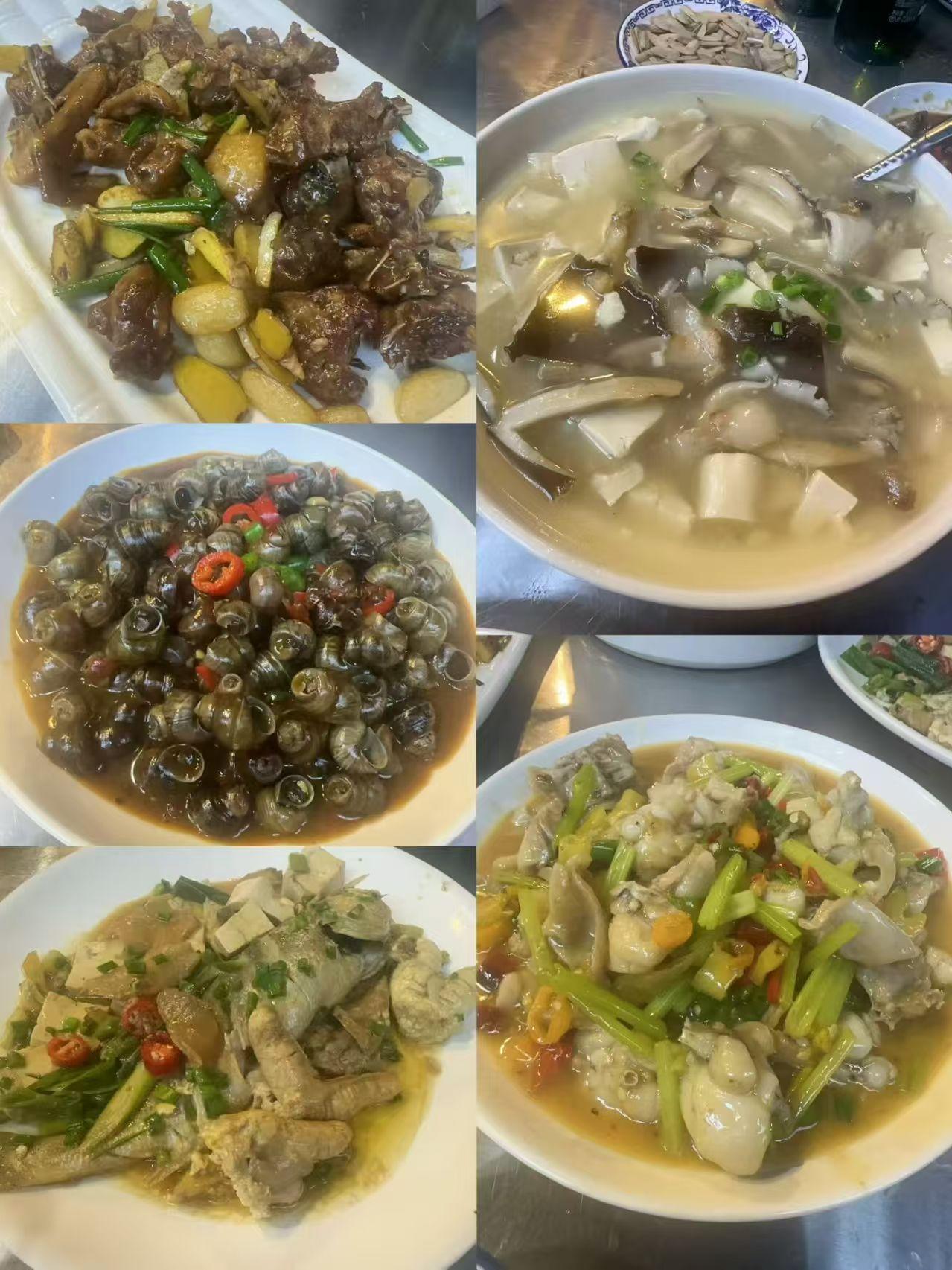 家常美味大集合，色香味俱全的家常菜肴。😋