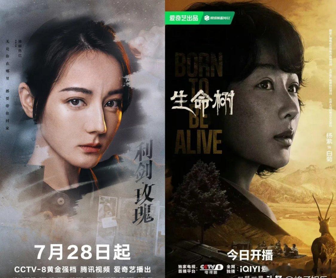 迪丽热巴似乎在转型路上实现了对杨紫的超越？有网友对两人的转型剧《利剑玫瑰》和《生