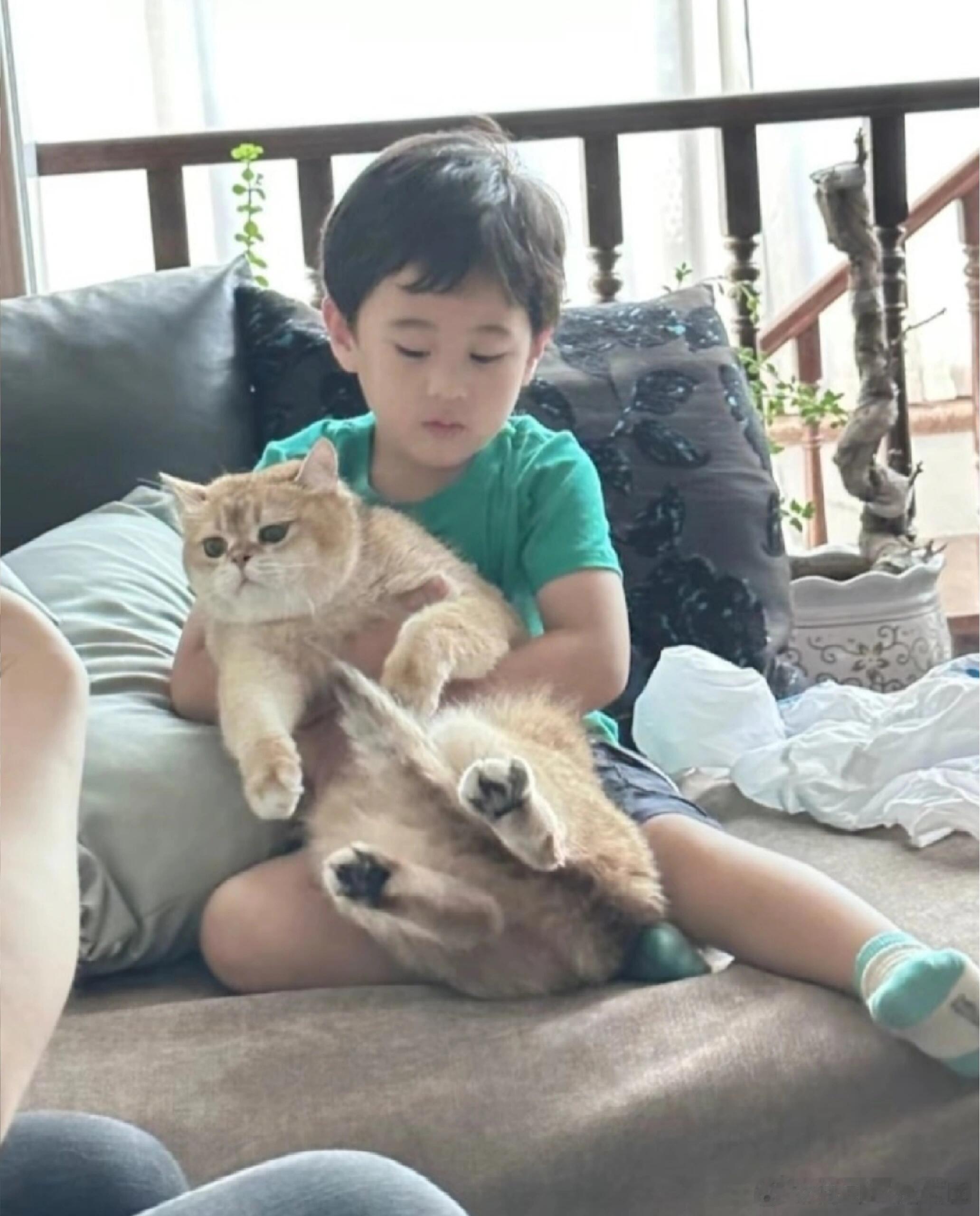 马立奥抱着一只小猫一时不知道是小猫太大只了，还是马立奥太小只了​​​