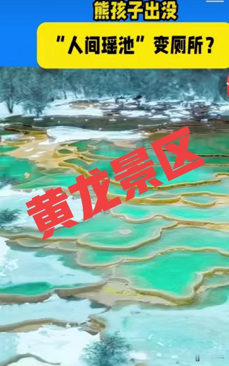 熊孩子出没，“人间瑶池”变厕所？辽宁都市频道《新闻正前方》，是笔者喜欢的一档