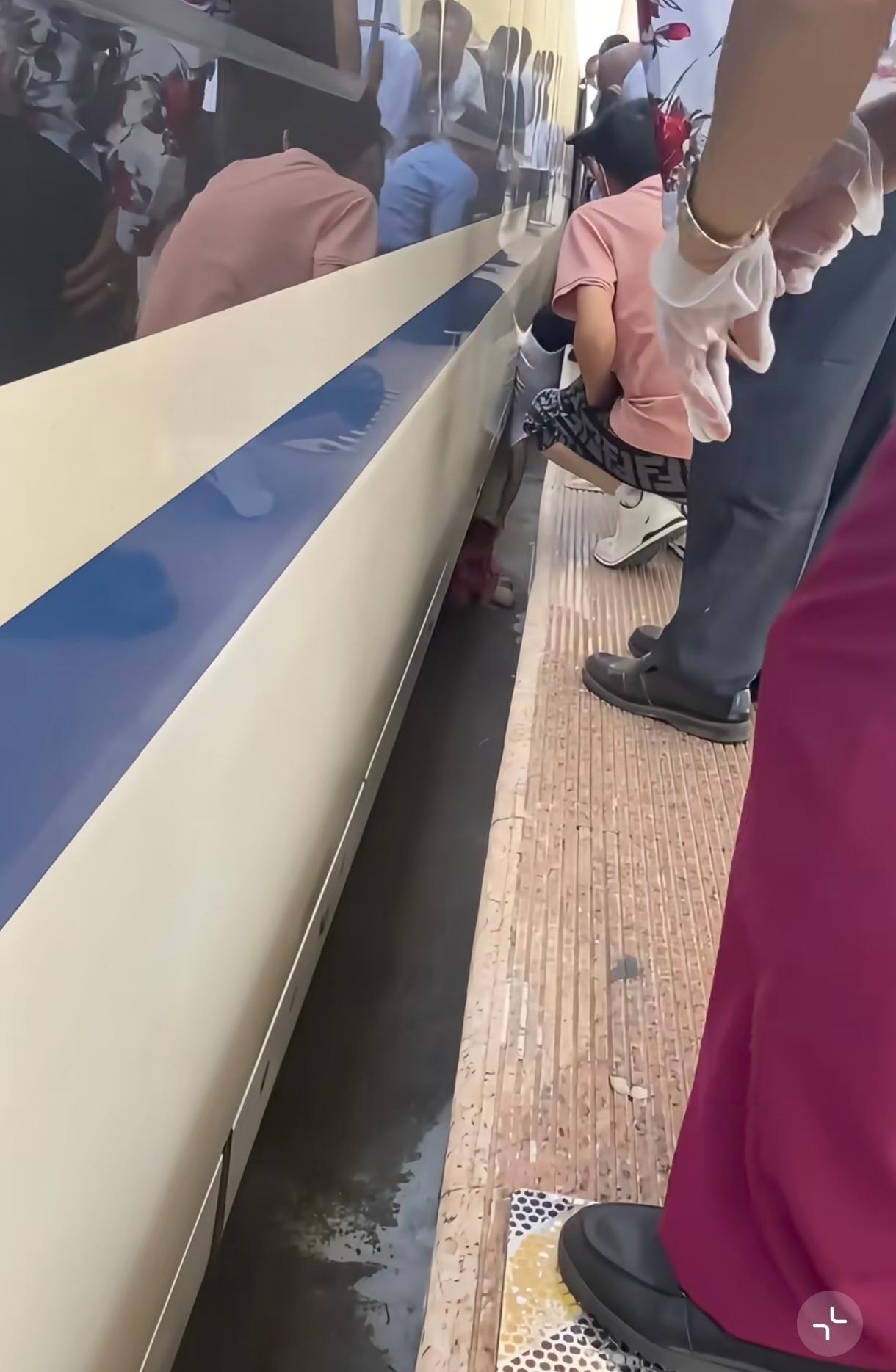 像这种一两岁的小孩子是不知道高铁危险的，摔倒后感到疼痛就是会哭闹。发生这种事情责