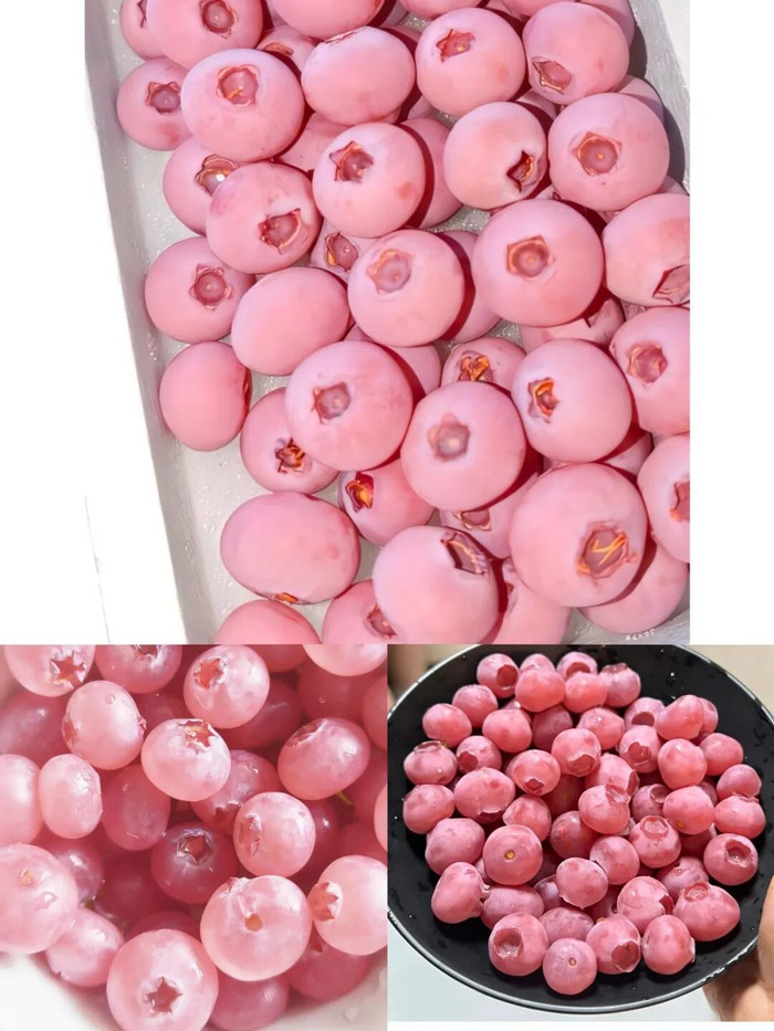 “粉色蓝莓”，1斤400元？