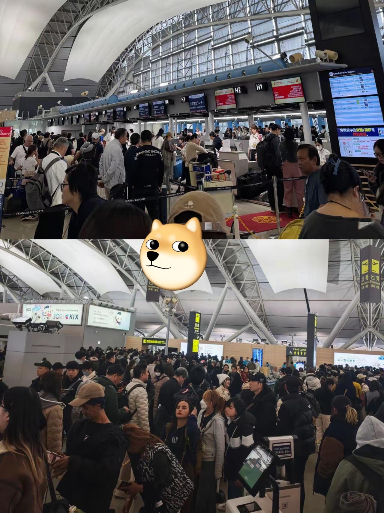 这就是不听劝硬闯日本的代价！日本西关机场彻底挤爆，回国中国人排成长龙直抵机场