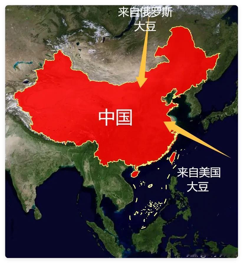 把俄美大豆放一起比，才懂为啥咱们的油瓶子离不开美国豆！你家厨房那瓶金黄透亮的豆