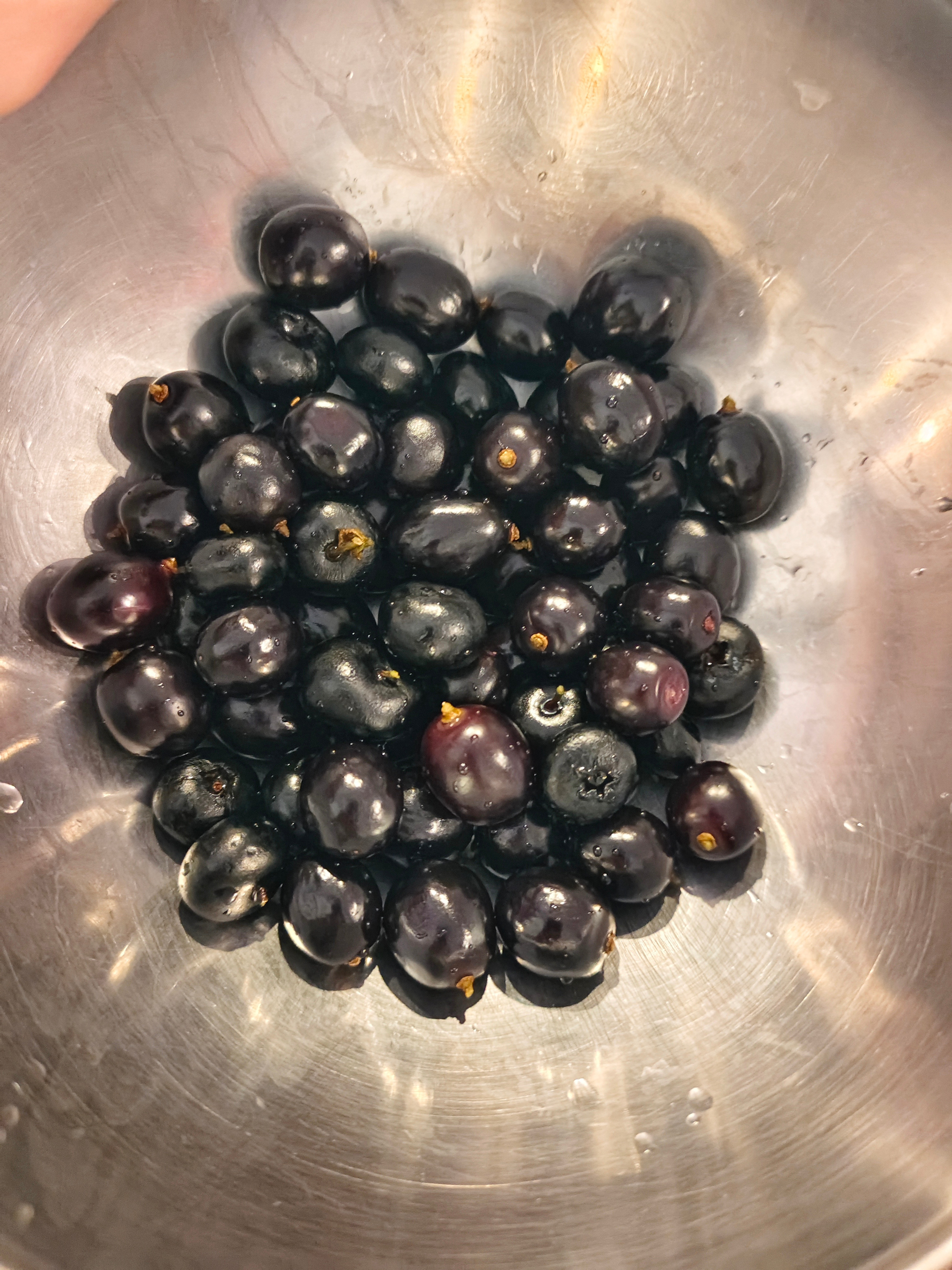 今儿我妈兴冲冲的端了盆紫色油亮亮的水果来给苗吃，苗问是什么，我妈答：“蓝莓和嘉宝