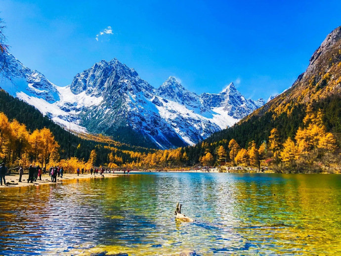 雪山巍峨，层林尽染。秋天，四川毕棚沟将迎来它醉美的时节！​​​​