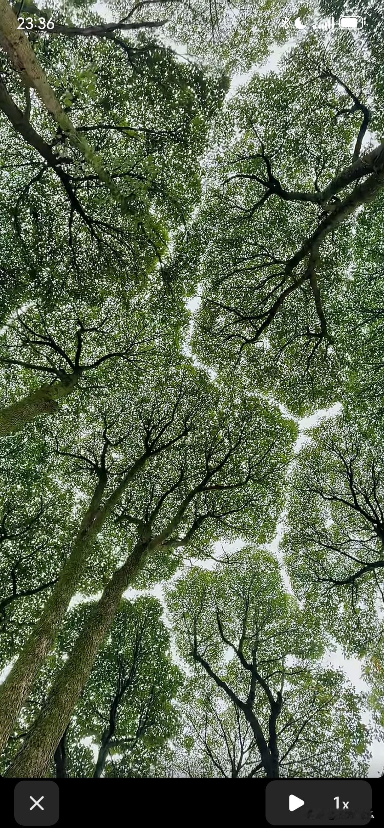 对下属单位的视查，提前通知，这是高明之处！很多人不理解，为什么会提前通知呢，
