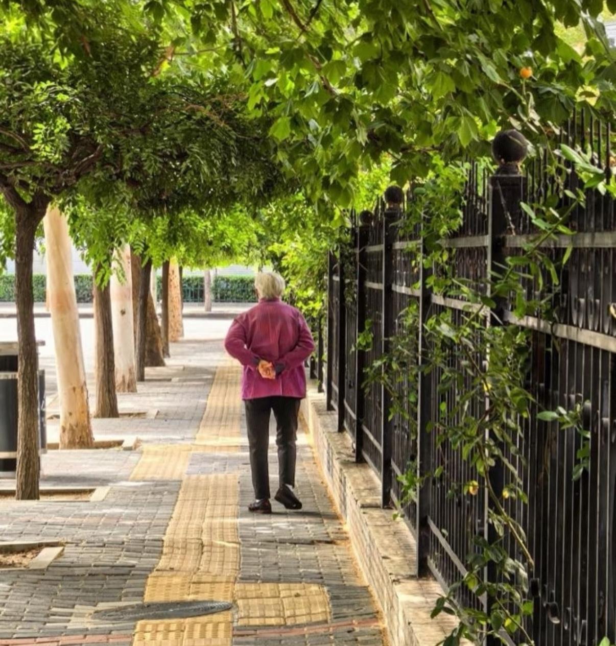 如果老人身体硬朗、没有关节疾病（如膝关节炎）或心肺问题，且平时有规律散步的习惯，