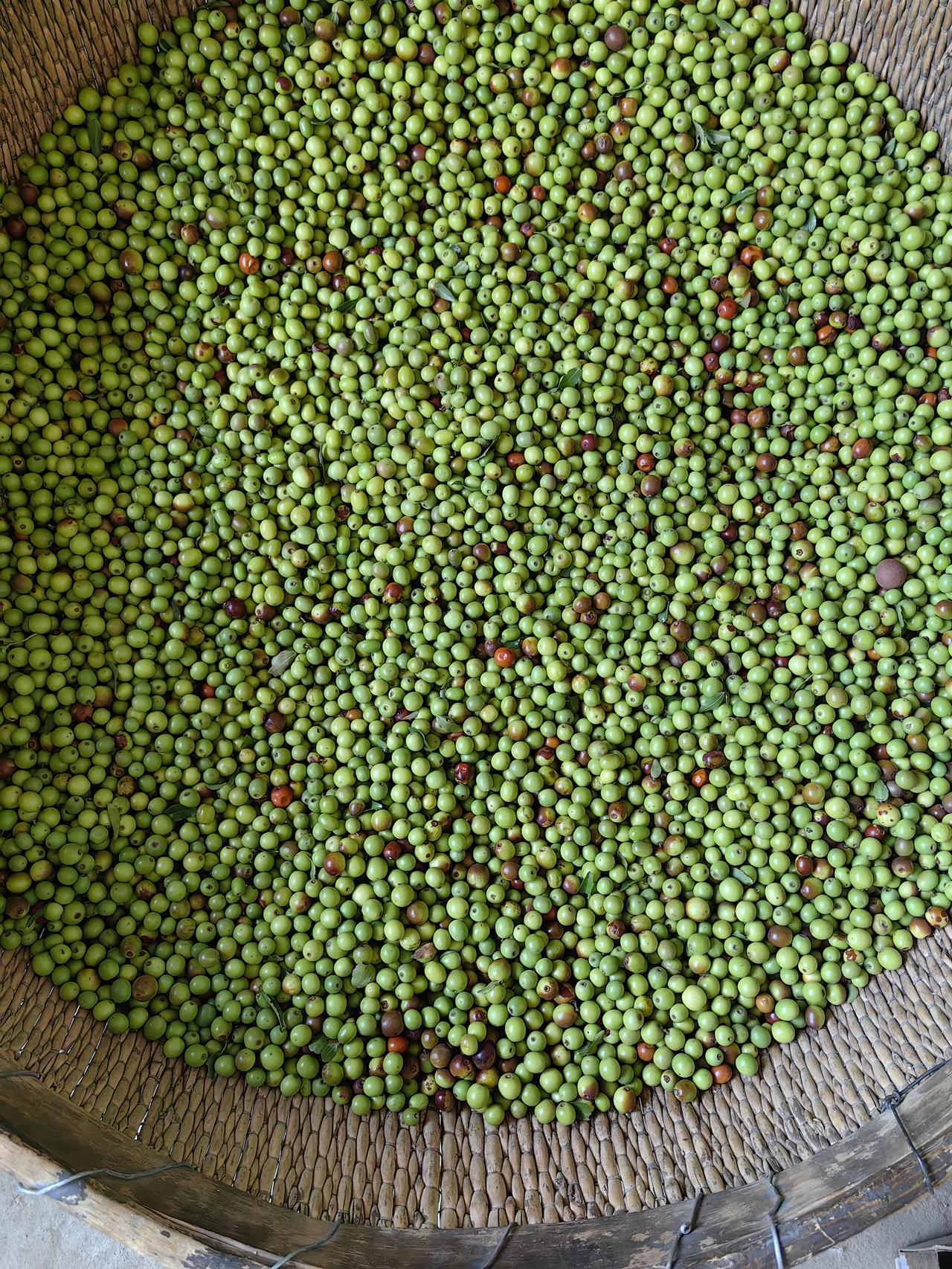 预制菜已经占领多大市场了？普通人很难想象的到！今天在西安北站内餐厅点了一份鱼香