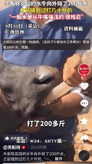 “没人性呀”广西钦州，一男子是做收牛营生的，但是这次收回来的牛，让他傻眼了，从未