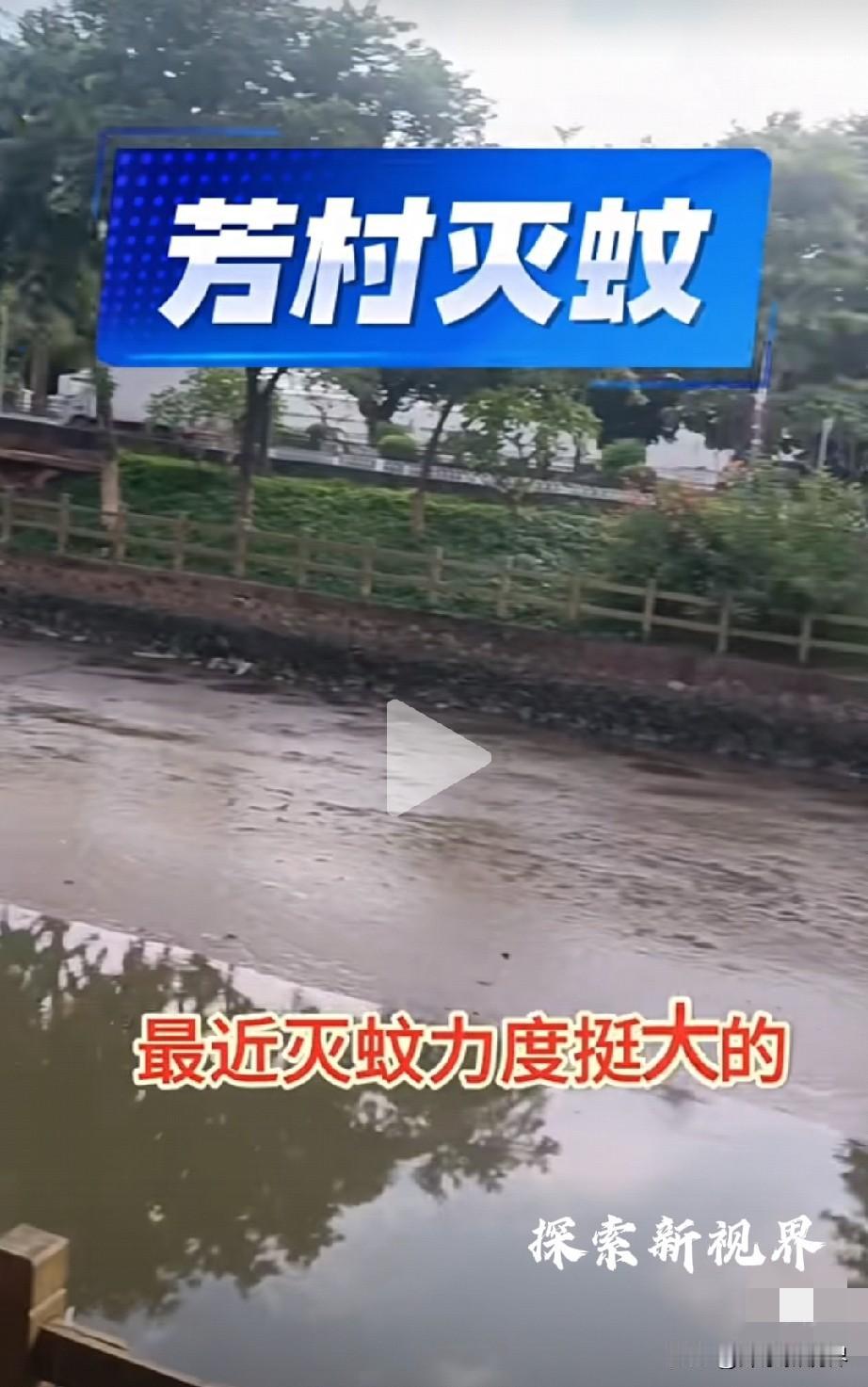 “广州已经不是原来的广州了吗？”2025-2026珠三角防基孔肯雅热、登革热，