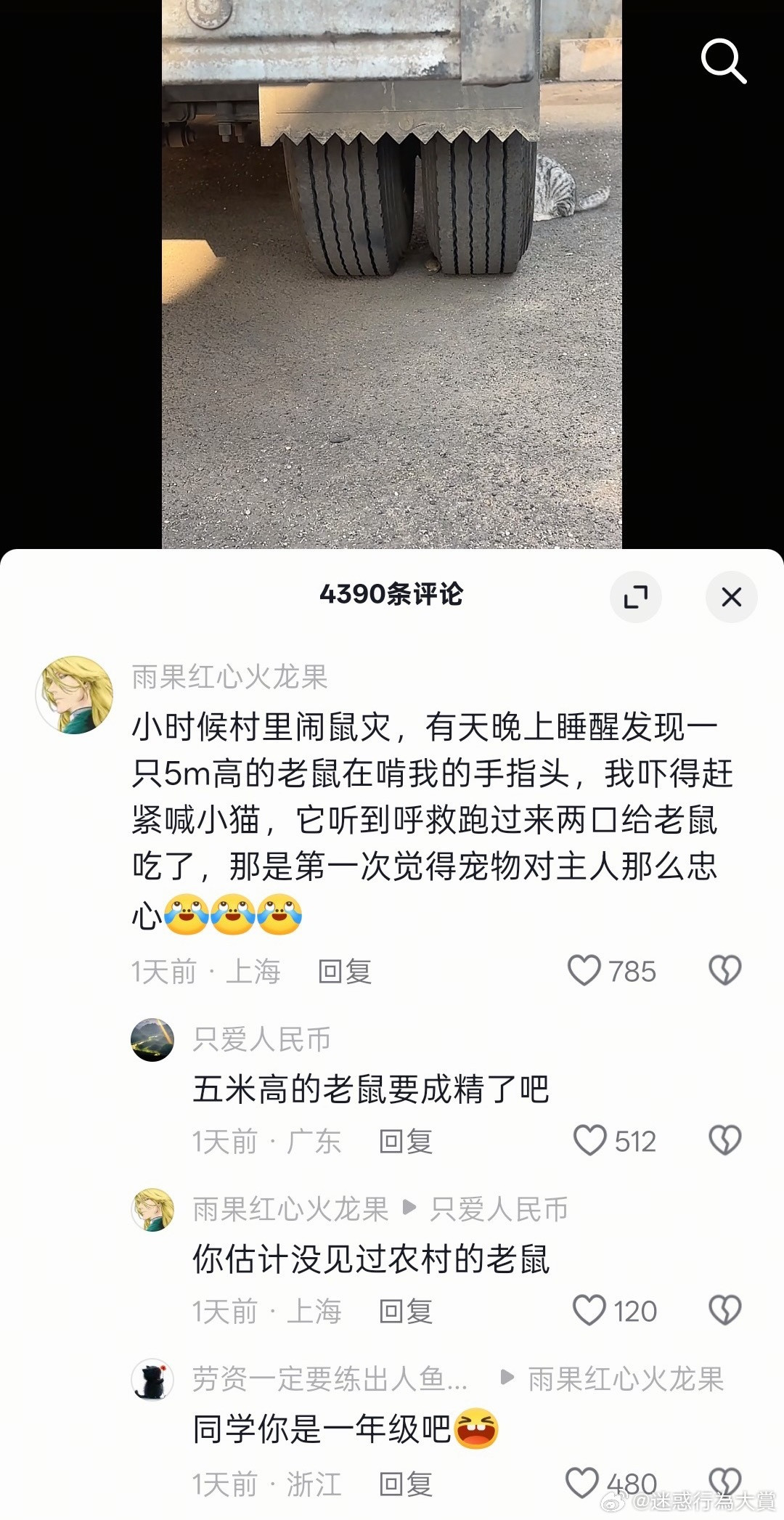 这小猫的胃口也挺大