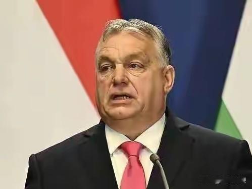 匈牙利总理欧尔班：欧盟妥协了！我们已取得初步胜利！刚刚，匈牙利总理欧尔班表示