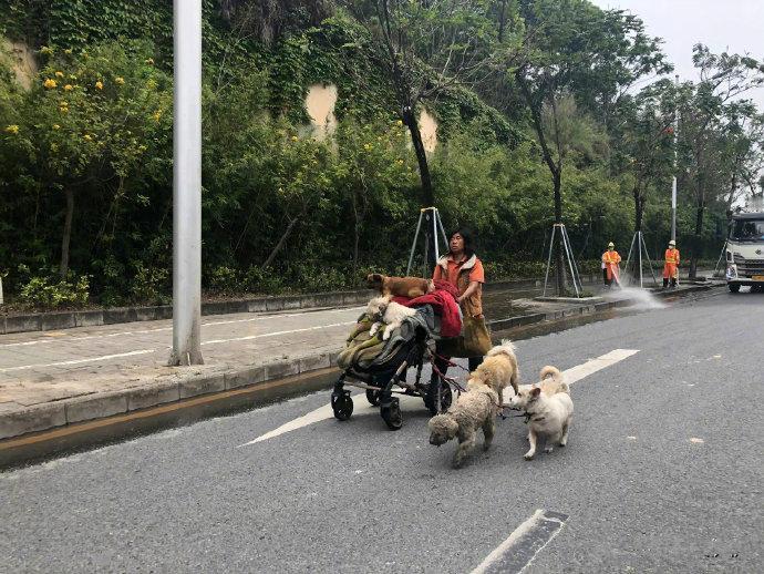 偶遇一个酷酷的狗妈妈，有多少人离深的时候把自己的狗遗弃了，又有多少人的狗走失了被